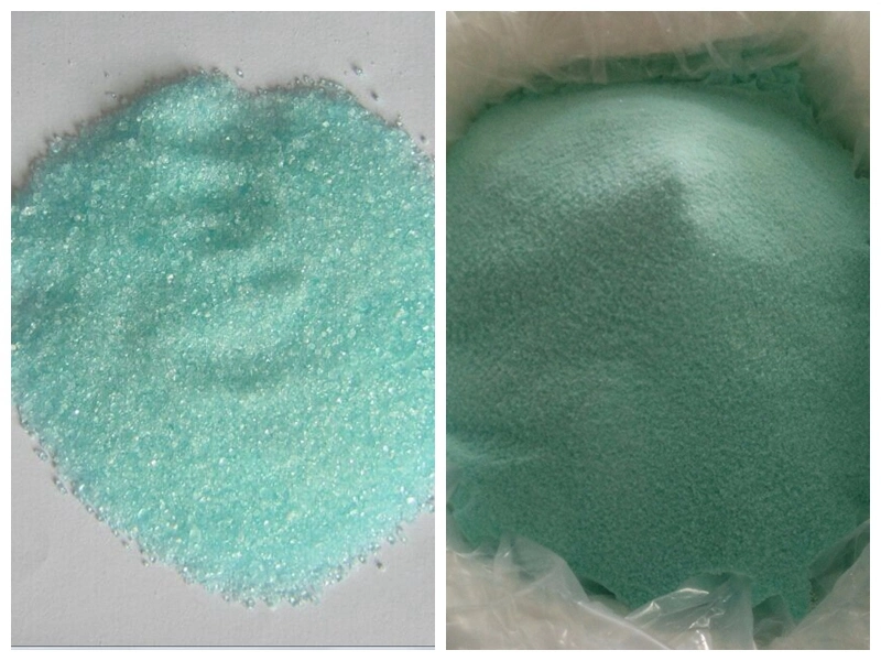 98% CAS 7782-63-0 Ferrous Sulfate Ferrous Sulphate Heptahydrate Iron Sulphate Manufacturer