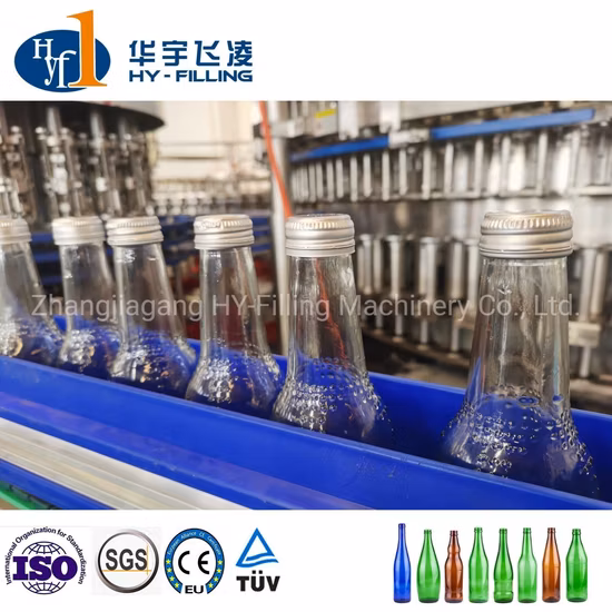 Dcgf Series Carbonated Beverage Water Fully Automatic Liquid Water Filling Capping Sealing Machine